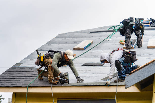 Professional Flat Roof Repair technician working in Mazon, IL